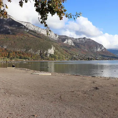 Cosy A 5min Du Albigny, Proche Commerces, Parking Inclus, Animaux Admis - Fr-1-432-17